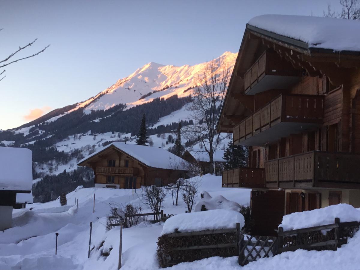 Ferienwohnung Le Sapin Les Diablerets Exterior foto